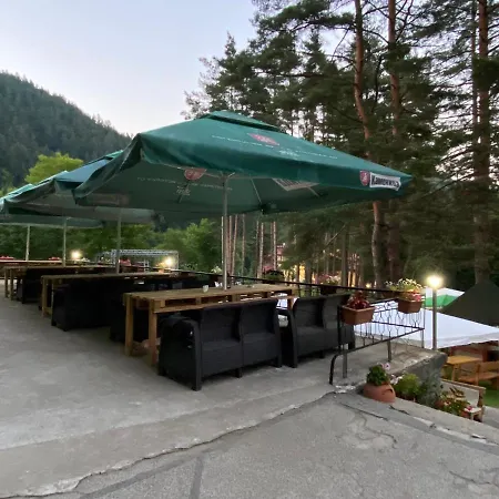 еделвайс * Chiflik (Lovech)