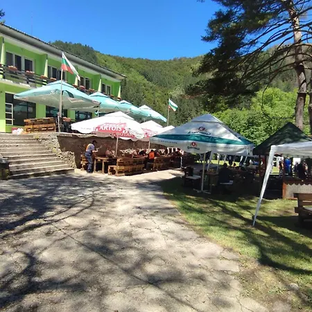 Hotel еделвайс Ciflic
