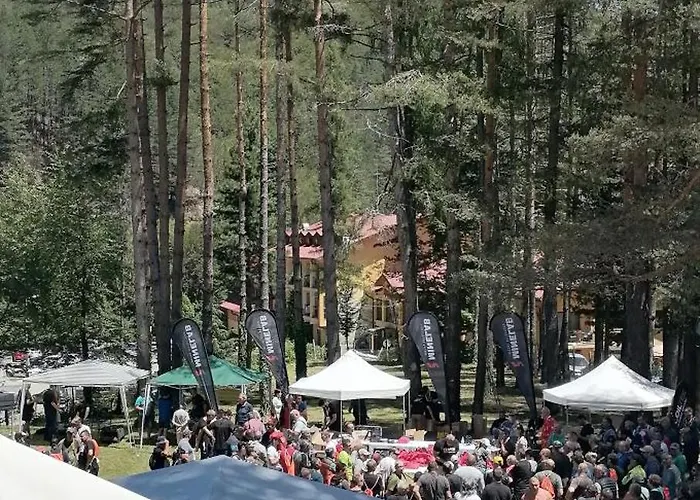 еделвайс Hotel *