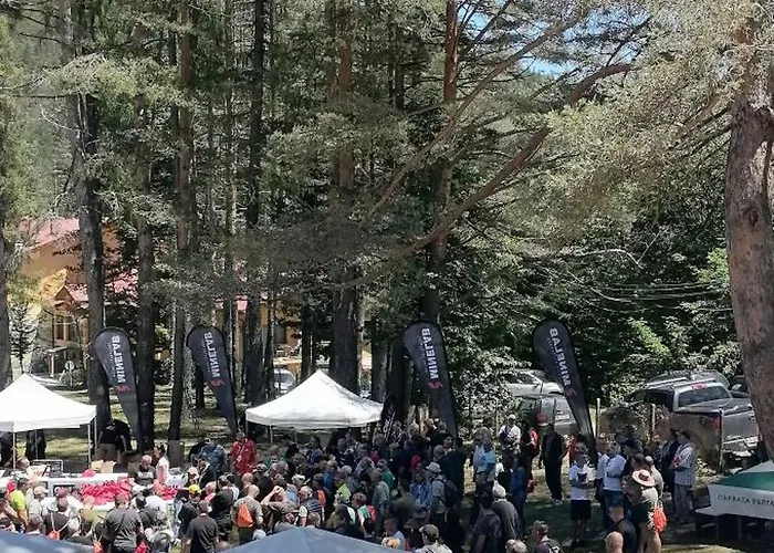 еделвайс Hotel *